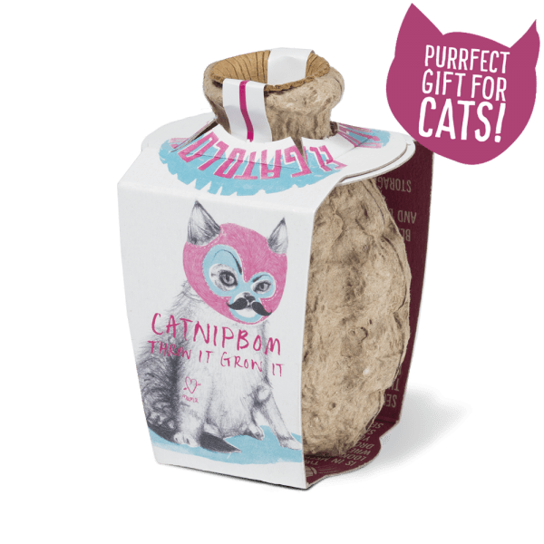 catnipbom-gift catnipbom-gift