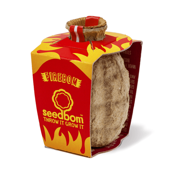 Firebom Firebom