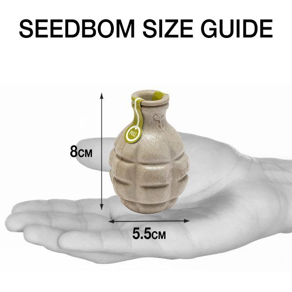 Seedbom Size Guide