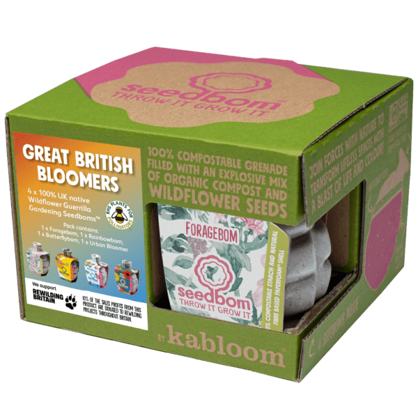 Great British Bloomers Seedbom Gift Set