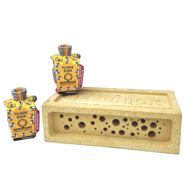 Bee Brick Seedbom set